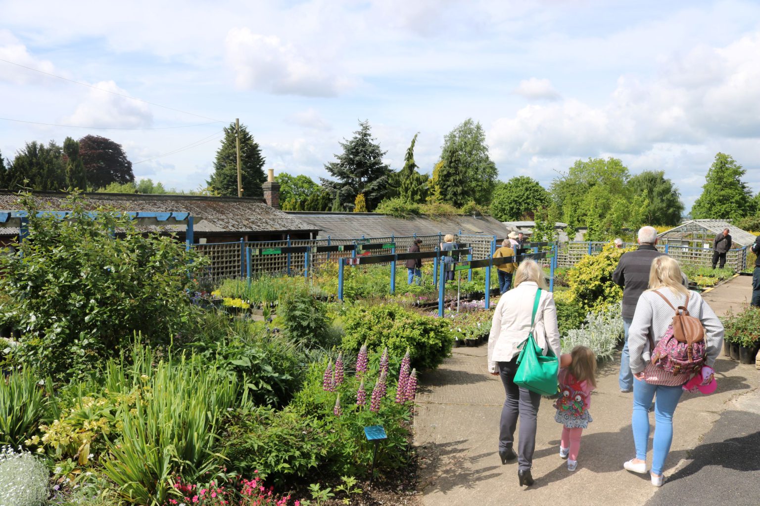 National Garden Scheme Open Day 10 09 2023 Dcg