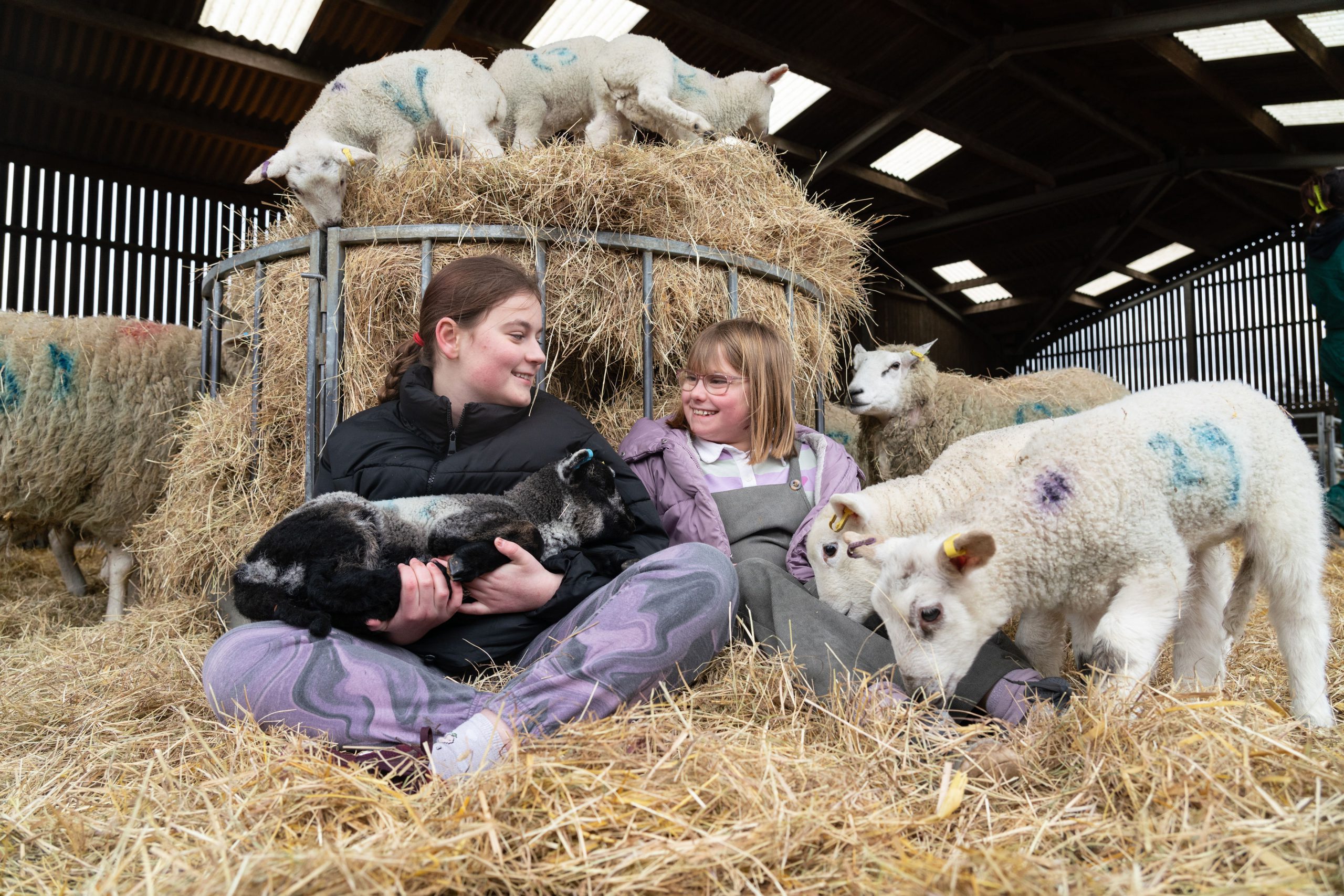 A young adult and a child petting a lamb whilst sitting down on hay.