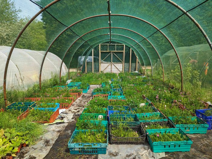 Horticulture facilities at Broomfield Hall