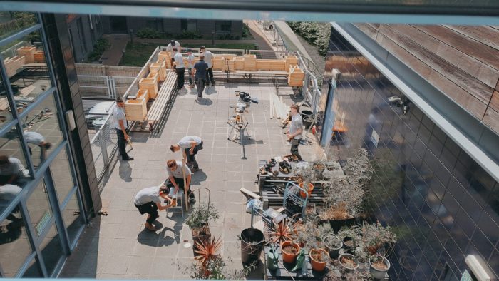 People working on a garden.